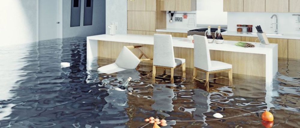 Water Damage Cleanup in Bath, IN (5769)